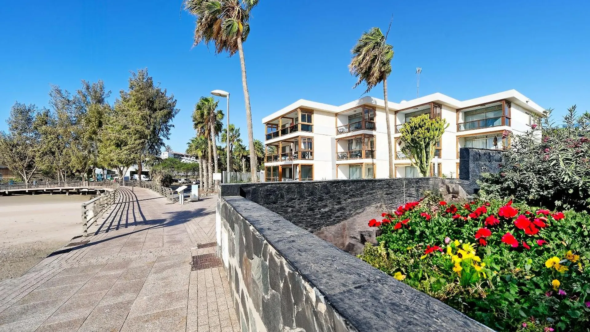 Apartamentos Los Papagayos San Agustín